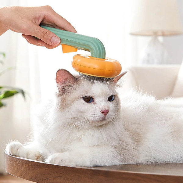 Pet Pumpkin Brush